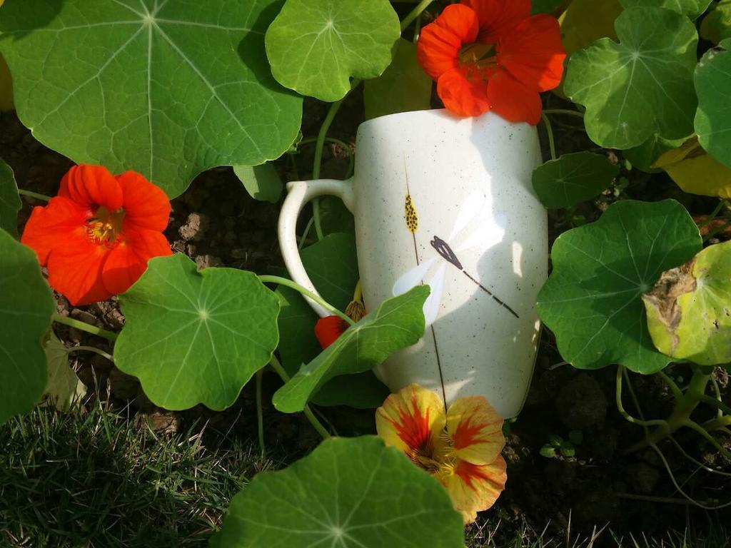 Mingtang Garden Cottage 名堂花园度假屋 Pokhara Exterior foto